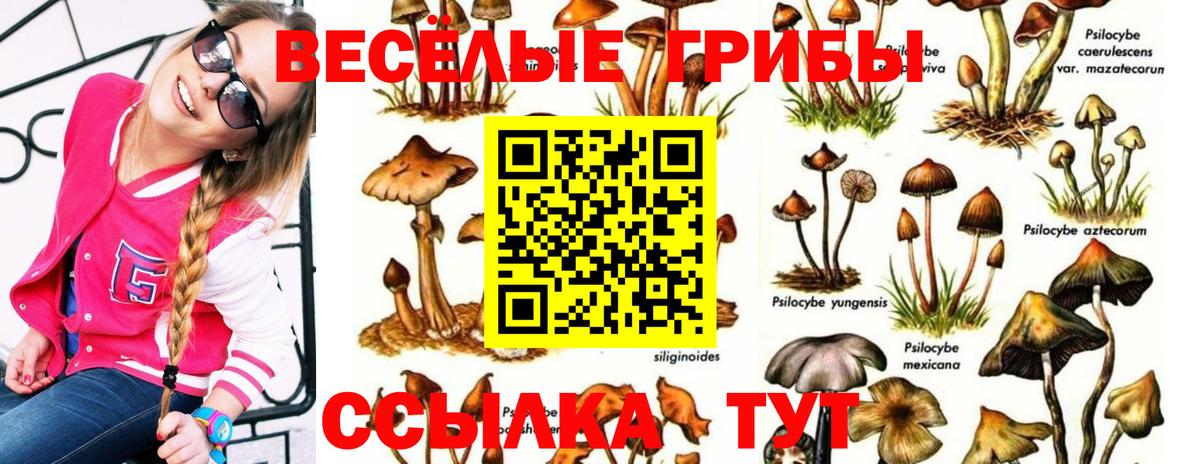 Оренбург  Галлюциногенные грибы мицелий  Галлюциногенные грибы GOLDEN TEACHER  Вход с VPN 